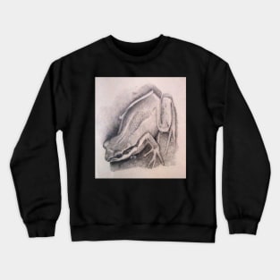 Southern Brown Tree Frog - Drawing by Avril Thomas - South Australian Artist Crewneck Sweatshirt